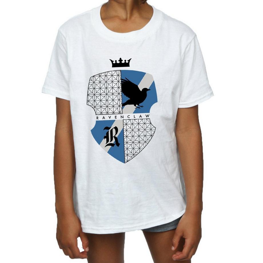 Harry Potter  Ravenclaw TShirt 