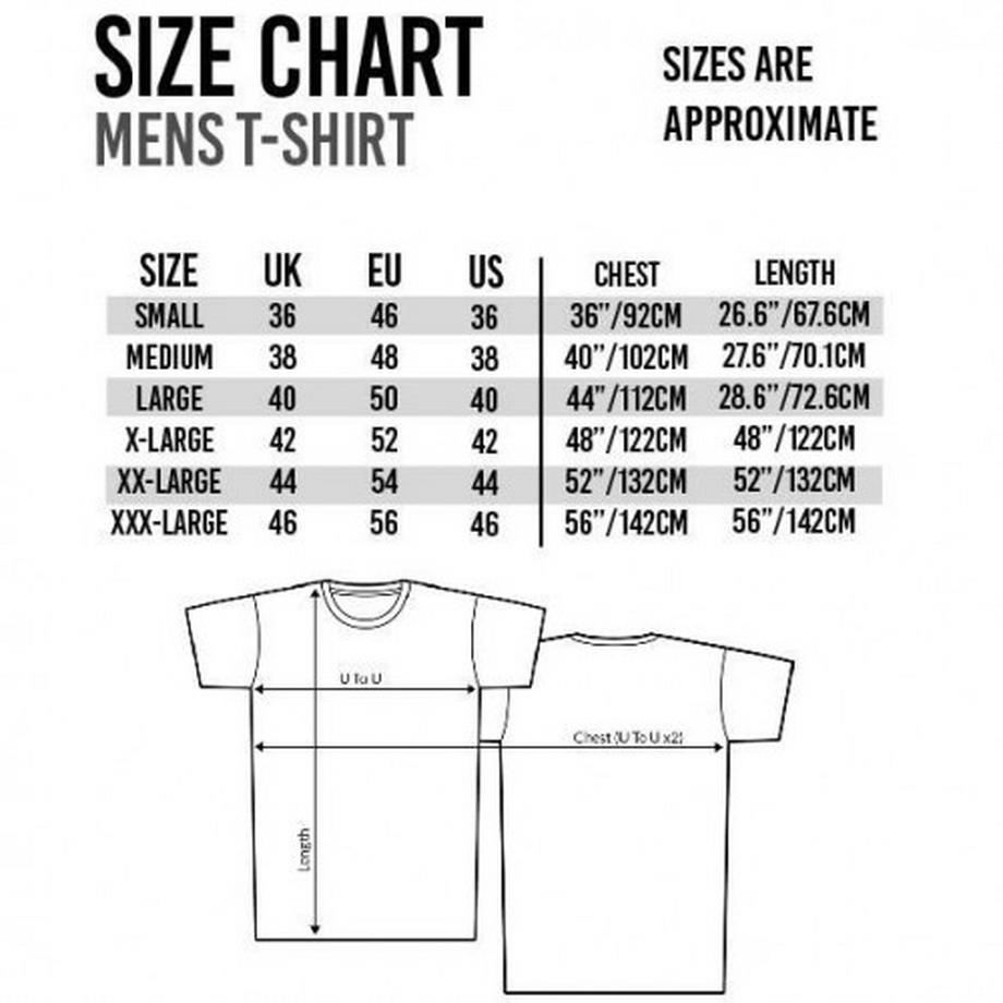 AVENGERS Endgame T-Shirt Stampa Grafica  