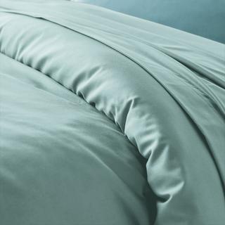 La Redoute Intérieurs Scenario Copripiumino tinta unita in policotone  