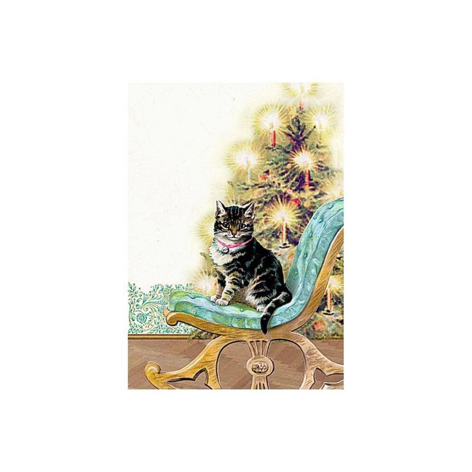 Coppenrath Adventskalender Katzen im Advent  