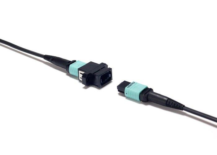 celeritytechnologies  Celerity Technologies UFO-DP-100P cavo e adattatore video 30,5 m DisplayPort Nero 