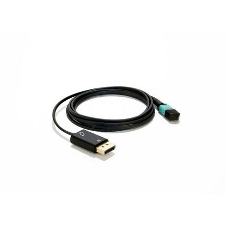 celeritytechnologies  Celerity Technologies UFO-DP-100P câble vidéo et adaptateur 30,5 m DisplayPort Noir 