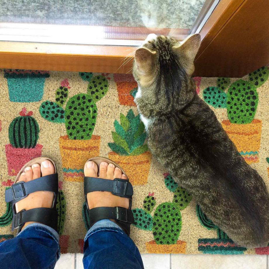 B2X Paillasson coco cactus  