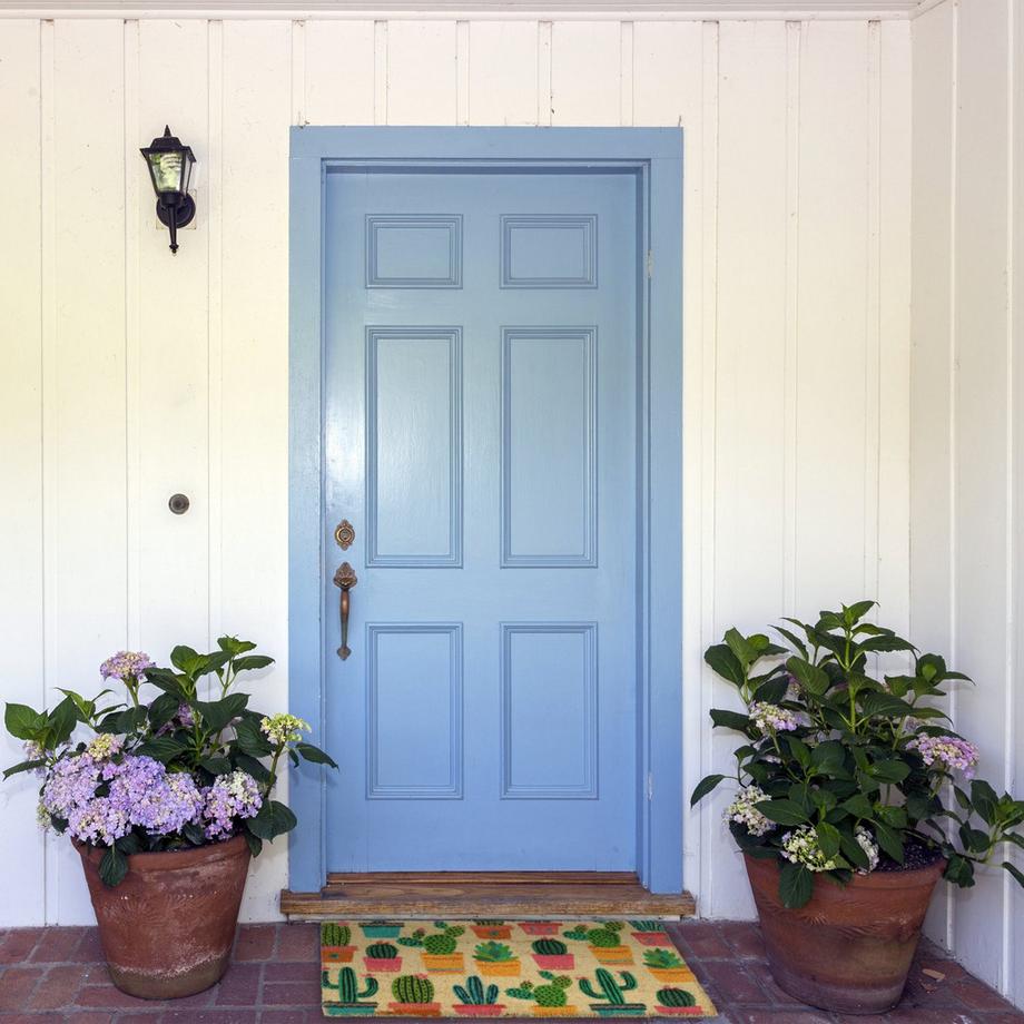 B2X Paillasson coco cactus  