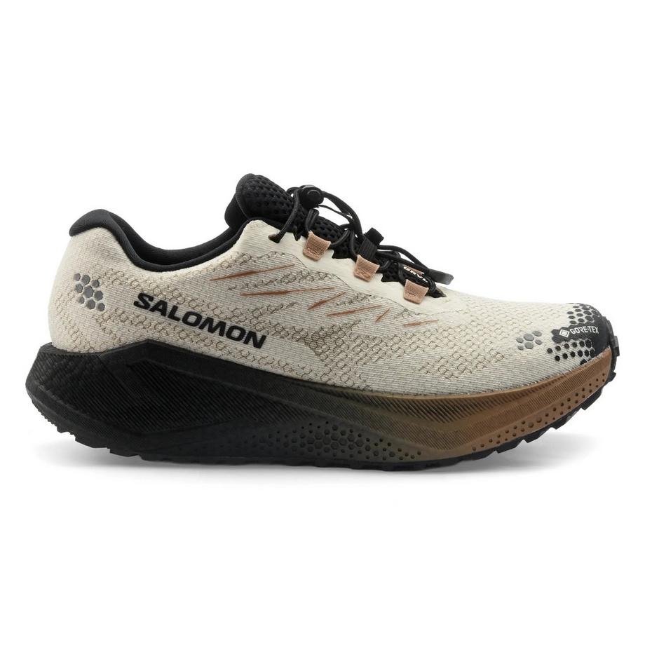 SALOMON Aero Blaze 4 Grvl GTX Trailrunning Schuh  