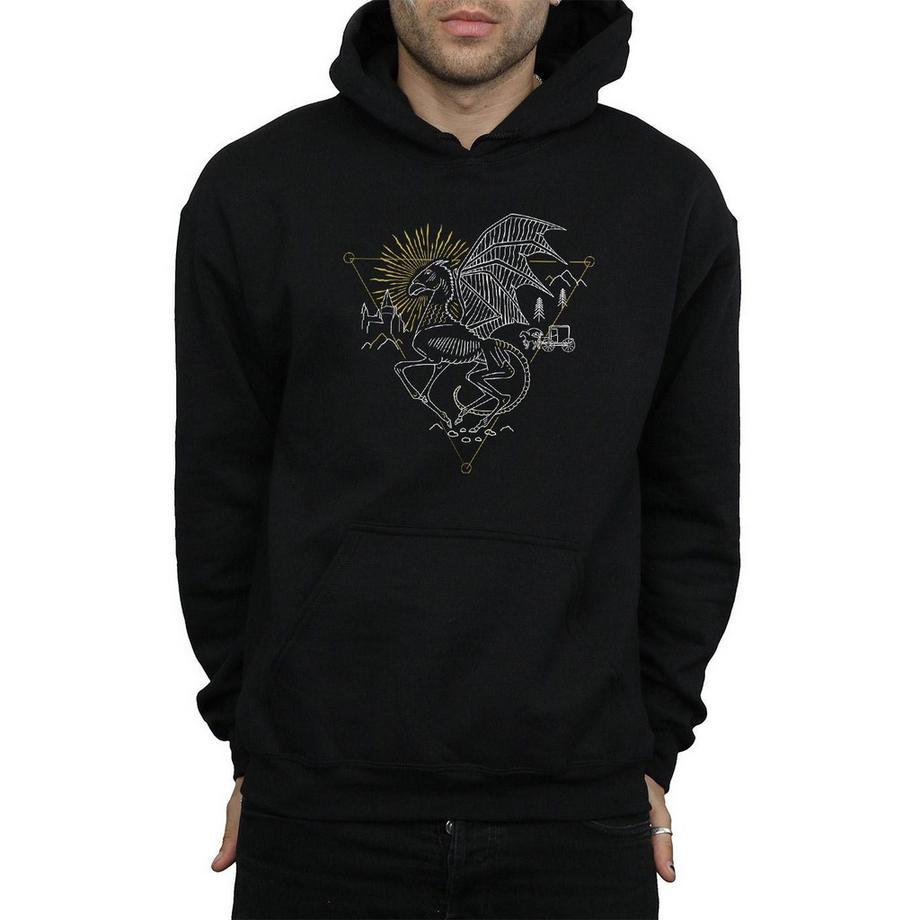 Harry Potter Drachenskelett Hoodie  