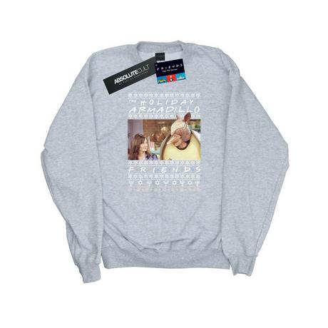 Friends Holiday Armadillo Sweatshirt  