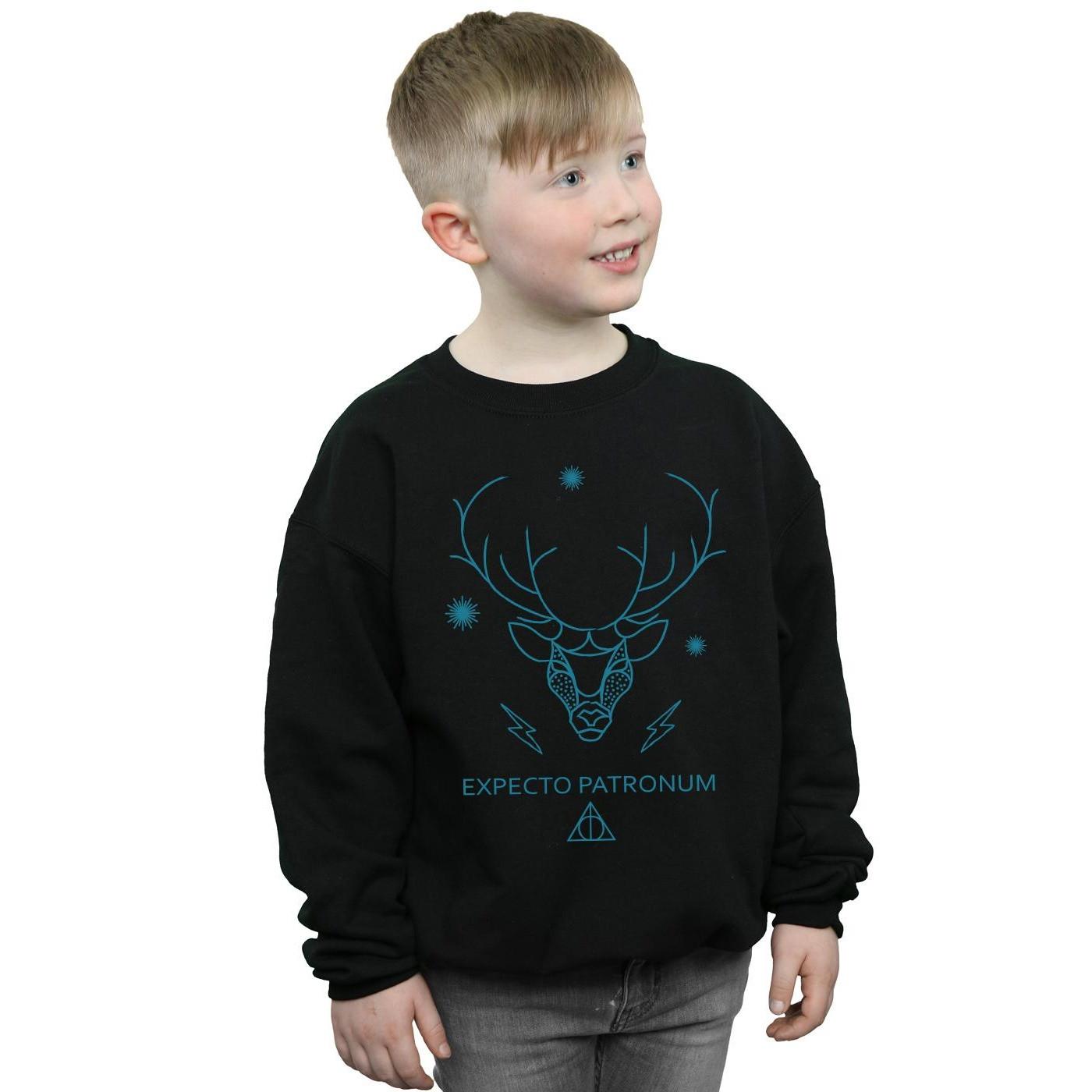 Harry Potter  Expecto Patronum Sweatshirt 