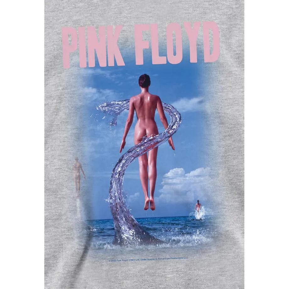 Pink Floyd  Sweat À Capuche Deep Blue 