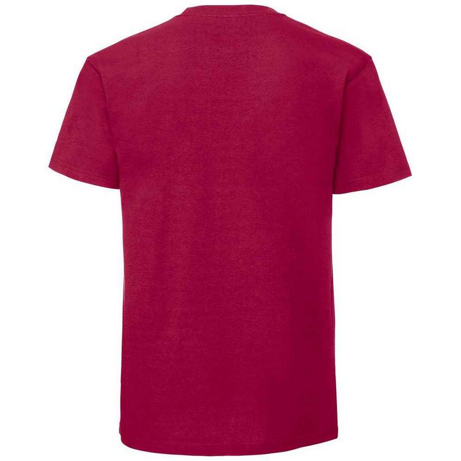 Fruit of the Loom Iconic 195 Premium T-Shirt  