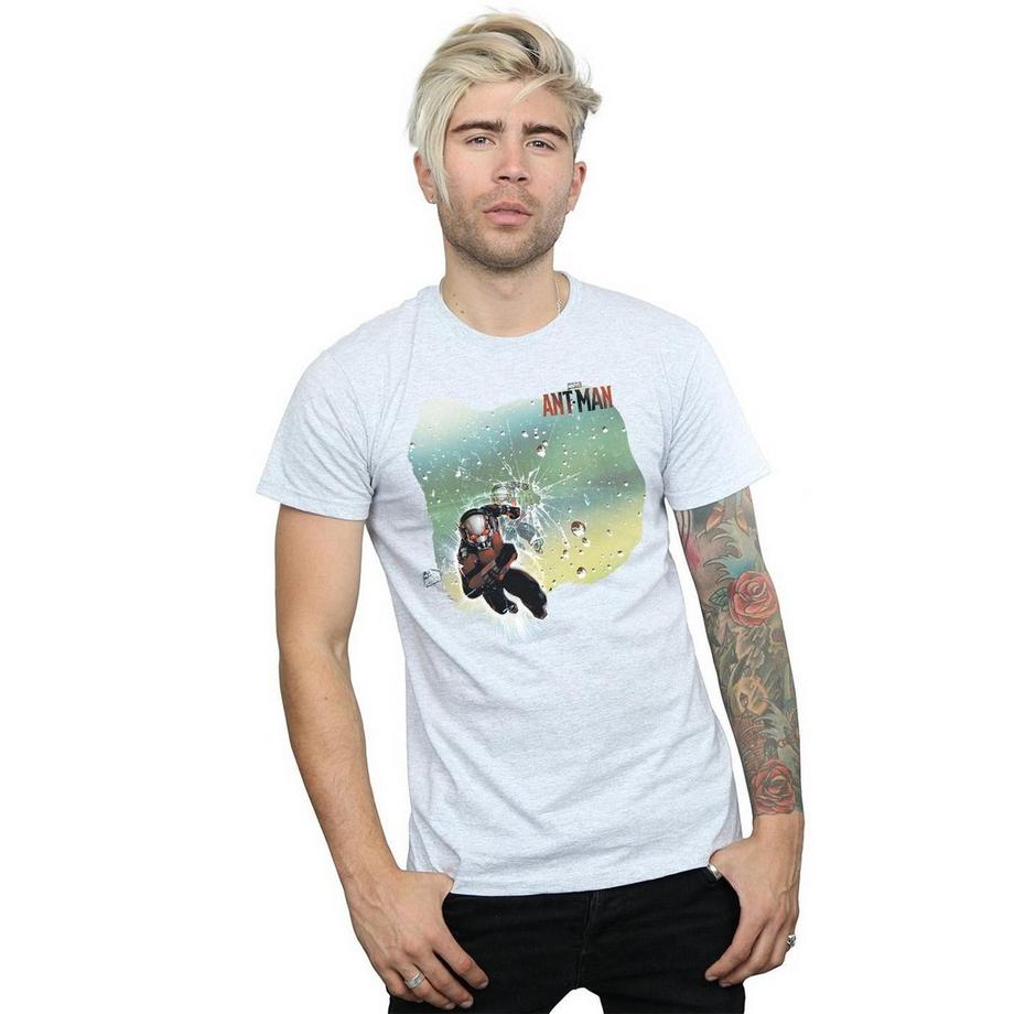 MARVEL Ant-Man Grafikdruck T-Shirt  