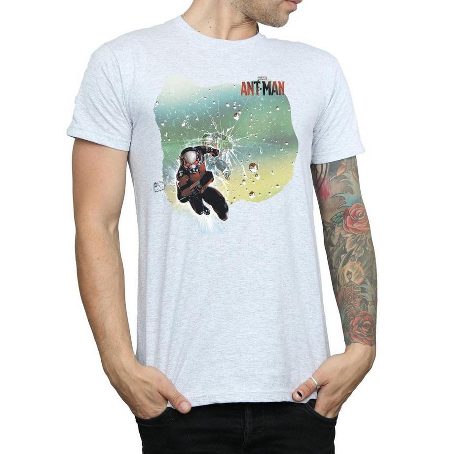 MARVEL Ant-Man Grafikdruck T-Shirt  