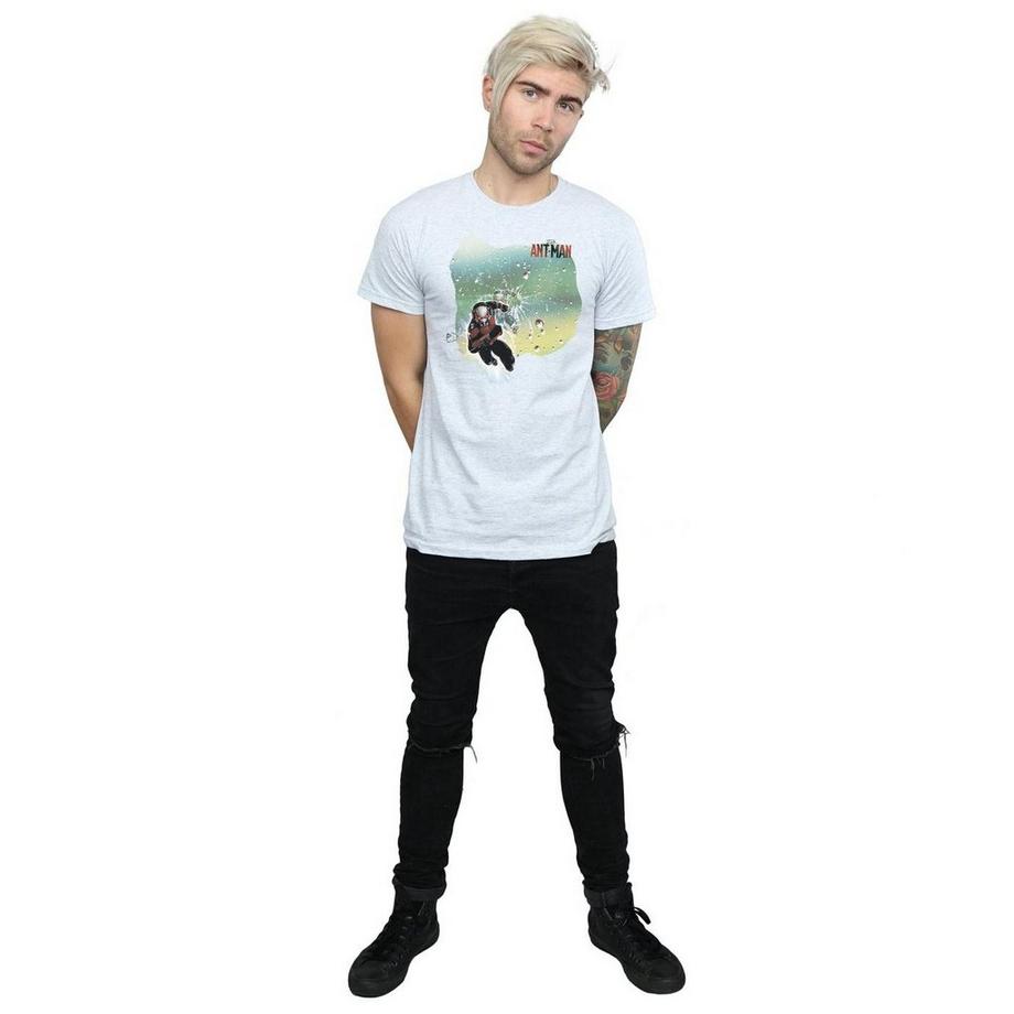 MARVEL Ant-Man Grafikdruck T-Shirt  