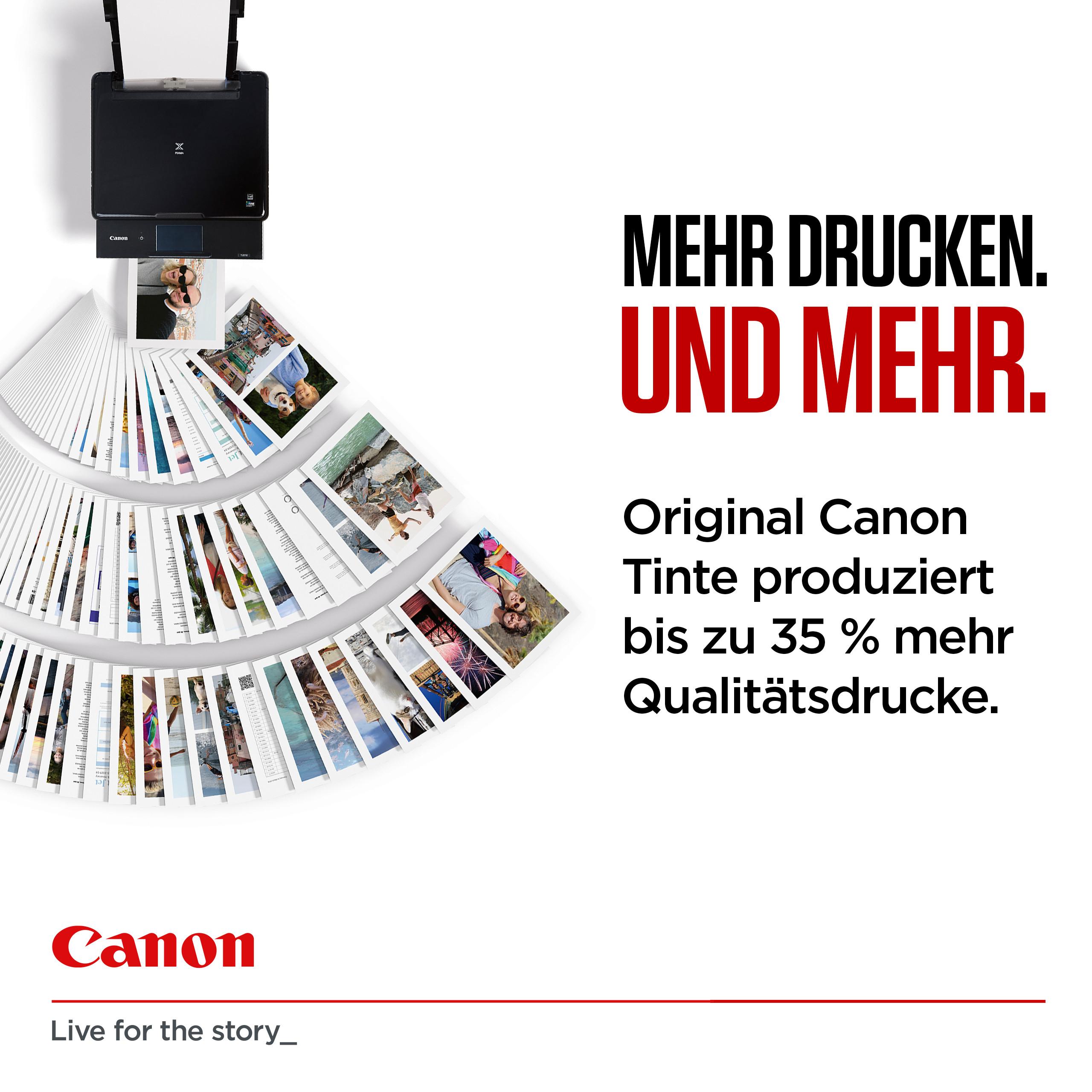 Canon  Cartuccia PG-545XL Originale Nero 