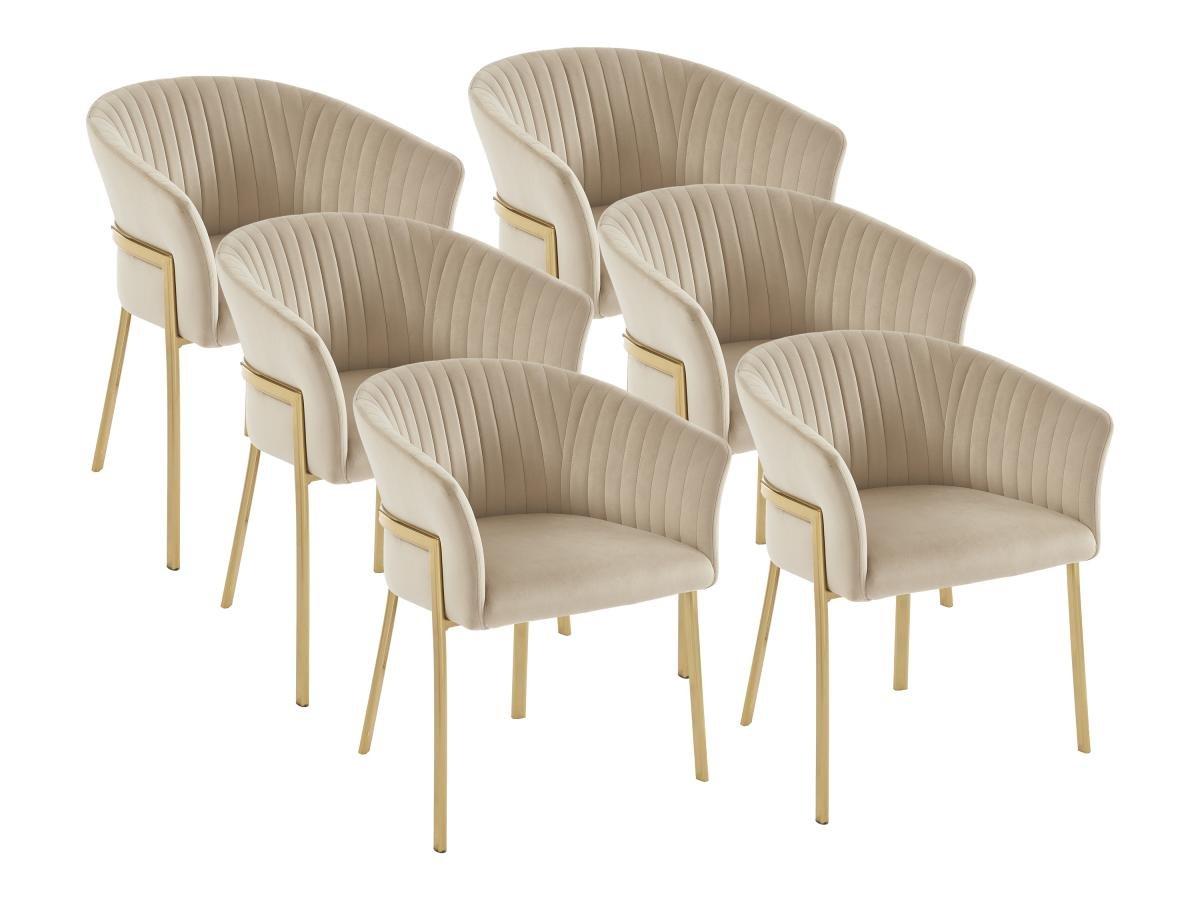 PASCAL MORABITO Lot de 6 chaises avec accoudoirs en velours et métal doré - Beige - ZAOVA de Pascal MORABITO  