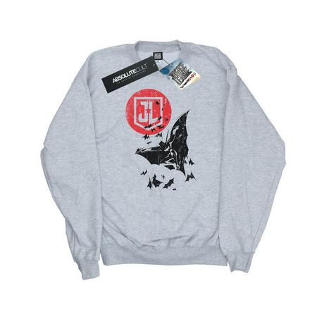 DC COMICS  Justice League Sweatshirt 