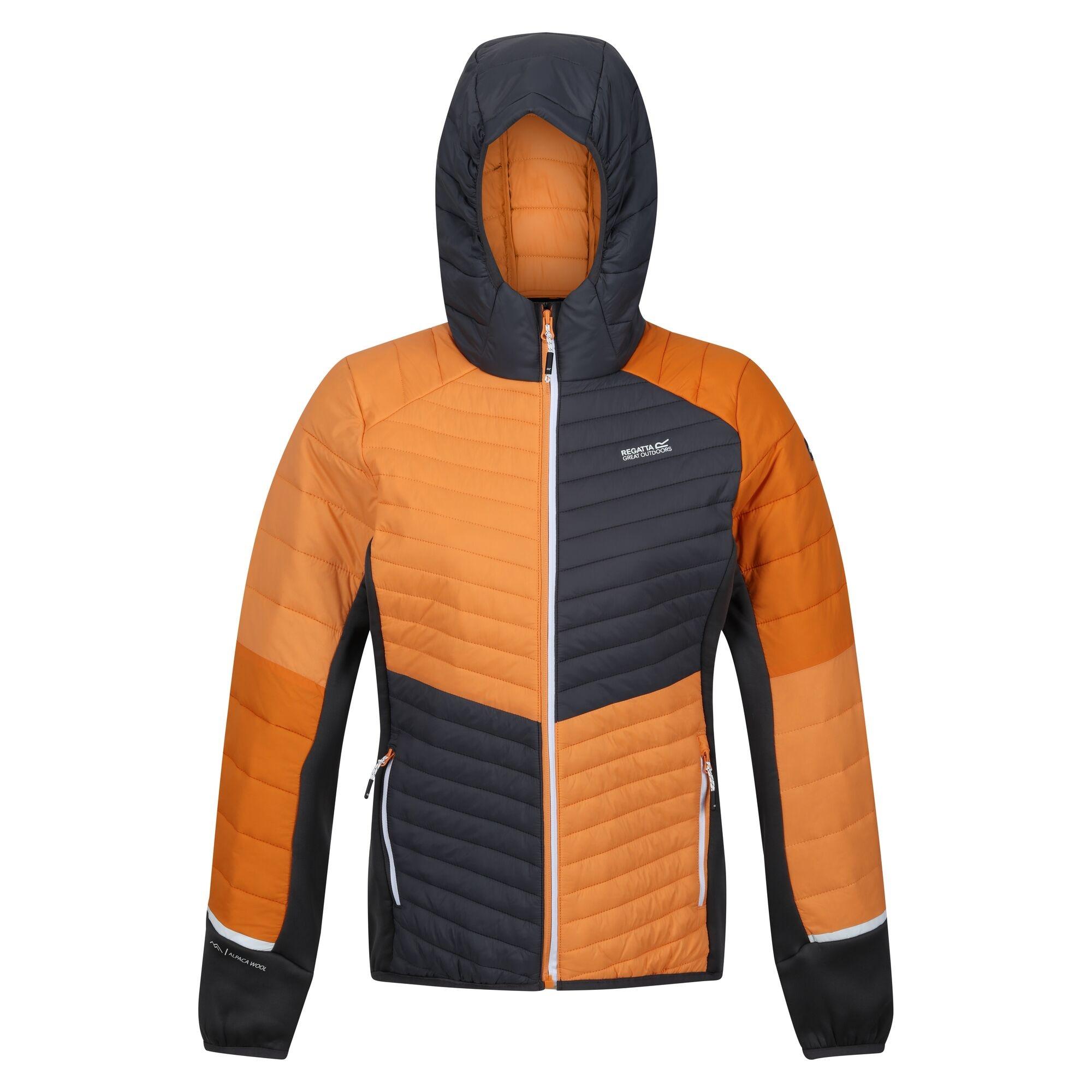 Regatta  Trutton II Kapuzenjacke 