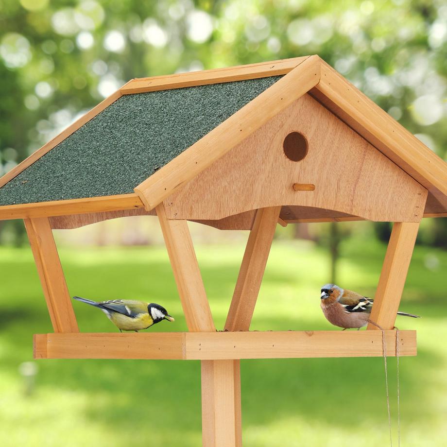 B2X  Grande mangiatoia per uccelli su palo 