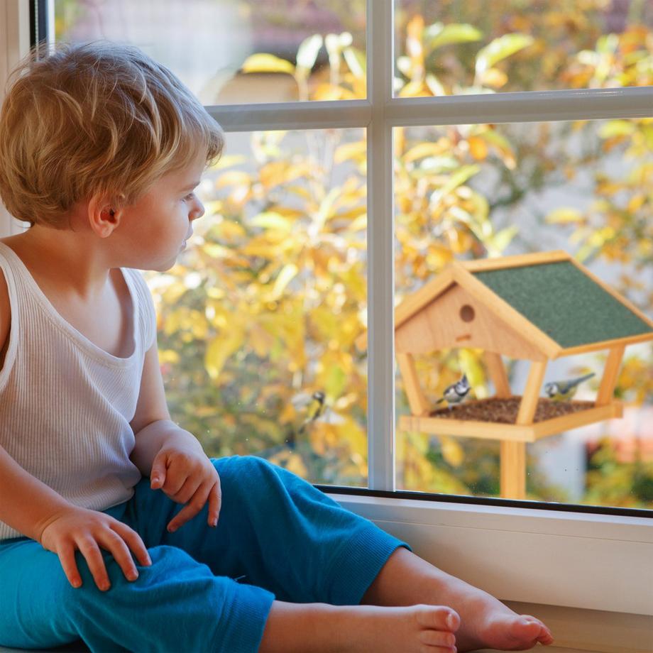 B2X  Grande mangiatoia per uccelli su palo 