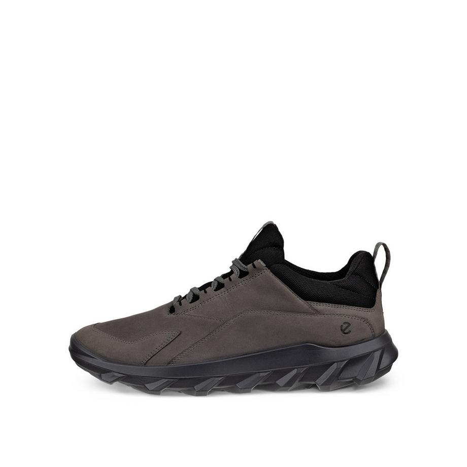 Sneakers mx