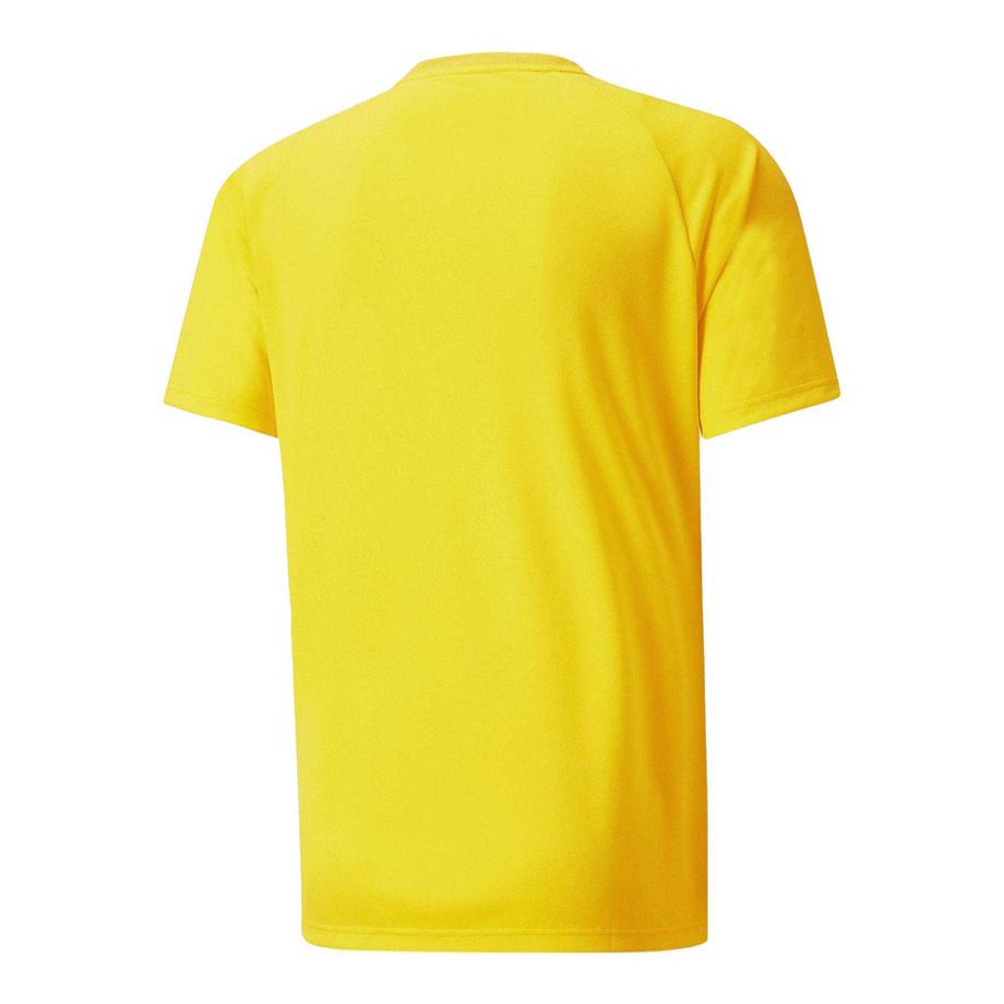 PUMA  Maillot De Foot Teamvision 