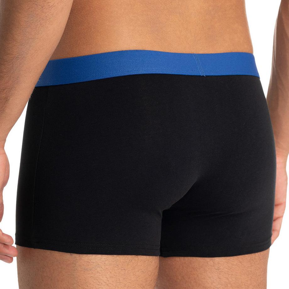 bruno banani Flowing Retro Short lot de 6  