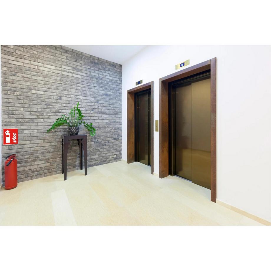 Exacompta Panneau PVC adhésif antidérapant Extincteur 20x20 cm  