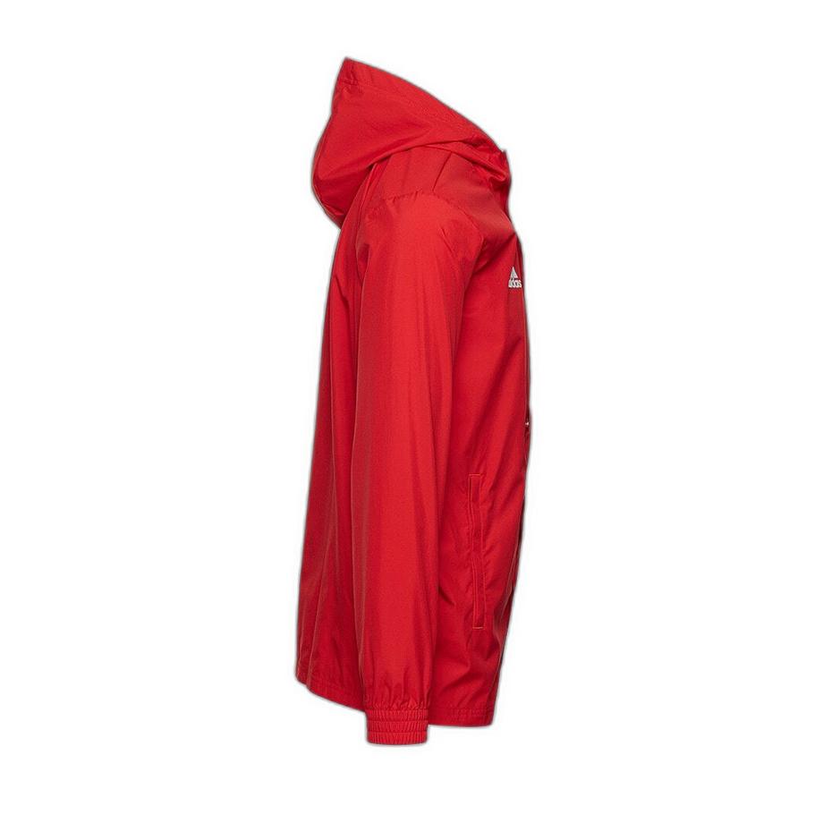 adidas Entrada 2022/23 Ganzjahres Trainingsjacke  