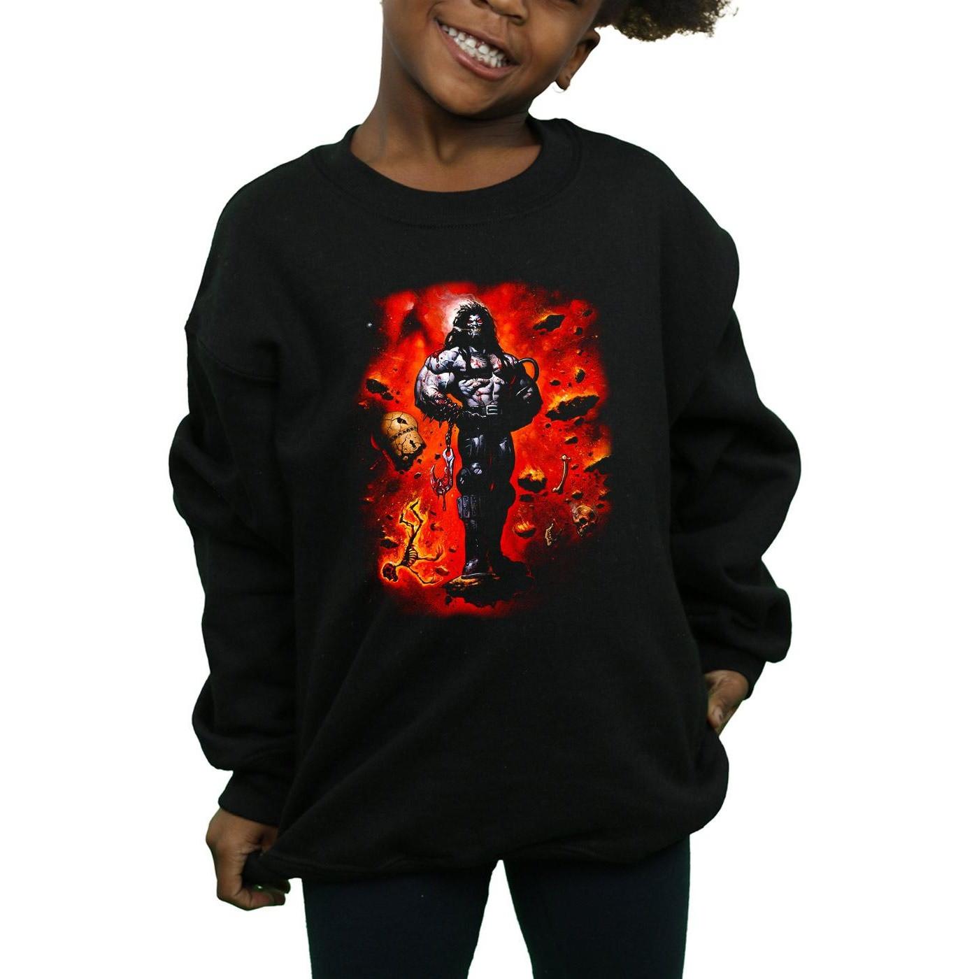 DC COMICS  Sweatshirt 