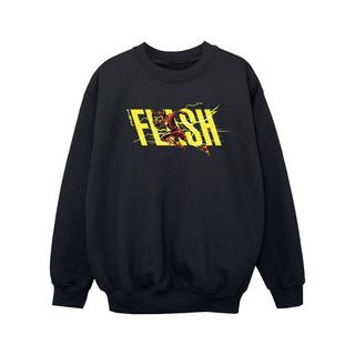 DC COMICS  Sweatshirt 