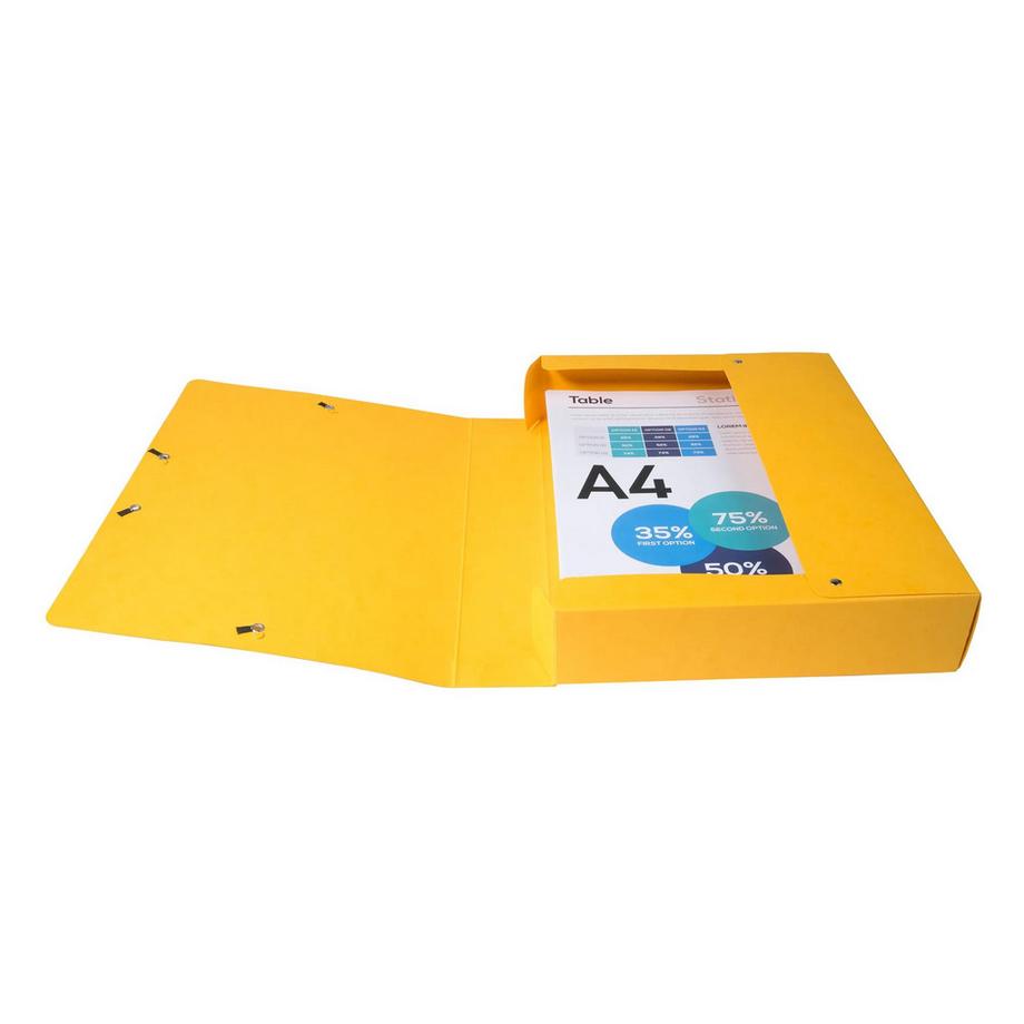 Exacompta Cartella portaprogetti con elastici montata dorso 60mm cartoncino lustré - A4 - x 8  