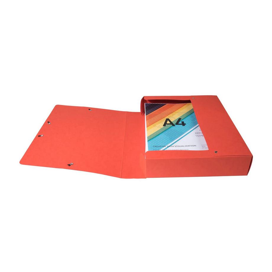 Exacompta Cartella portaprogetti con elastici montata dorso 60mm cartoncino lustré - A4 - x 8  