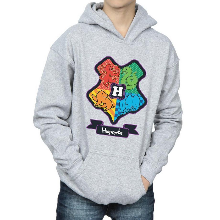 Harry Potter  Sweat à capuche 