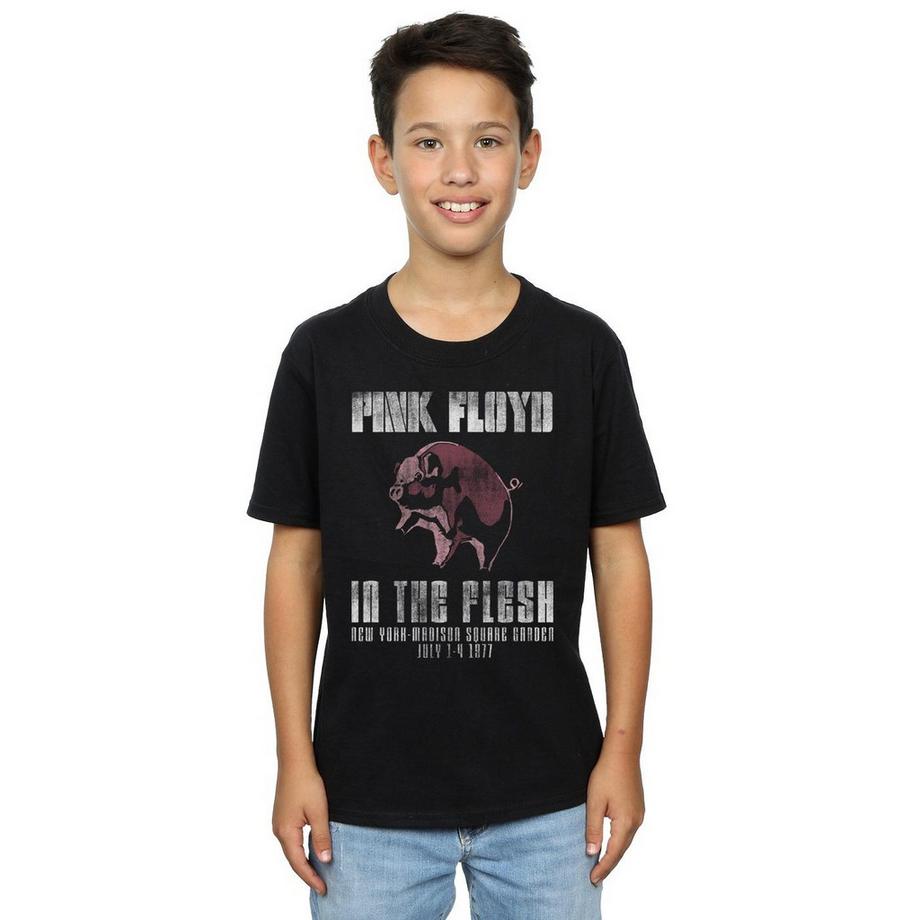 Pink Floyd  In The Flesh TShirt 
