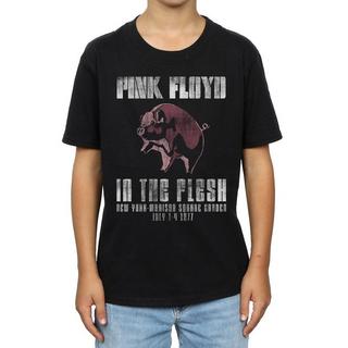 Pink Floyd  In The Flesh TShirt 