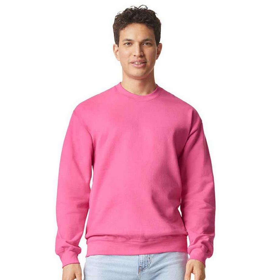 Softstyle Sweatshirt