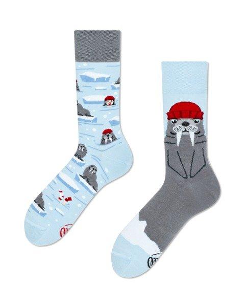 Many Mornings  The Walrus  Chaussettes - Many Mornings 