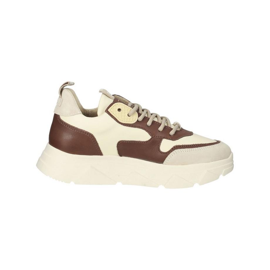 STEVE MADDEN Sneaker  