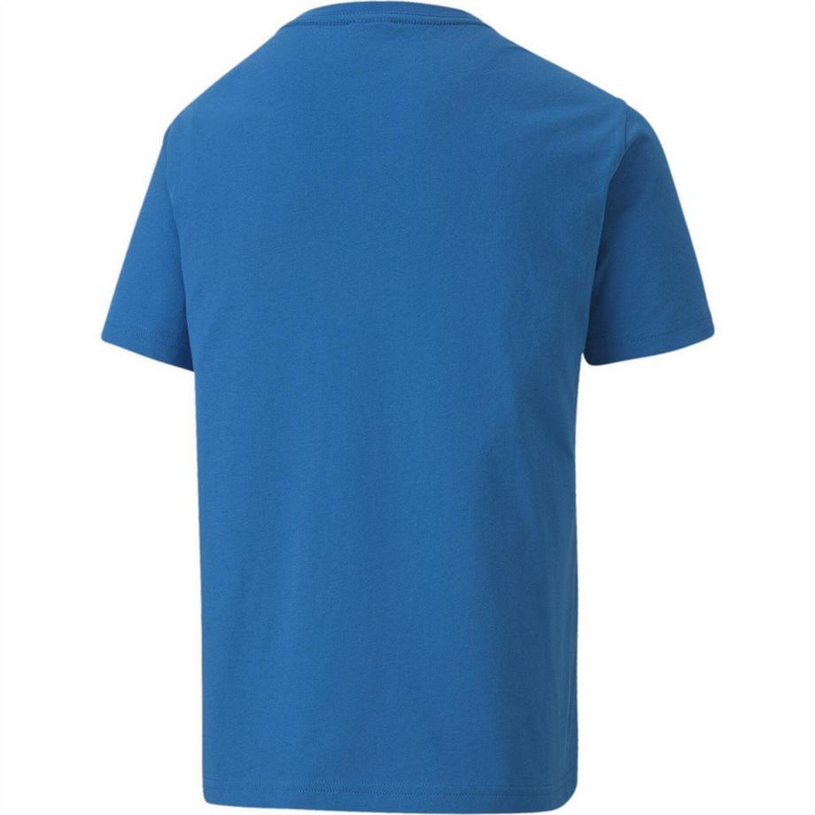 PUMA  T-ShirtTeamgoal Casuals 
