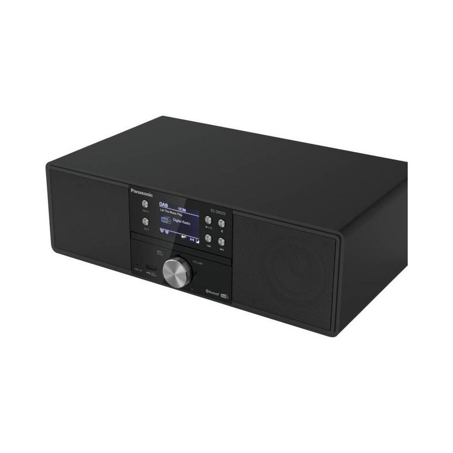 Panasonic  SC-DM202EG 