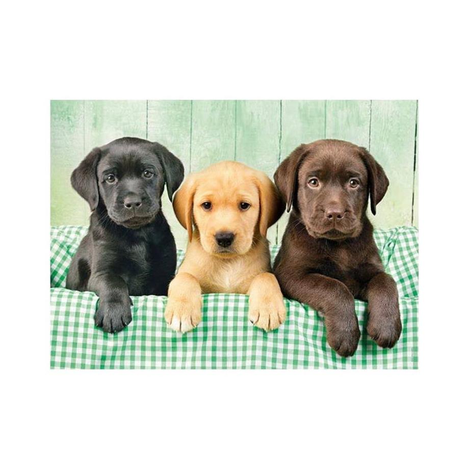 Clementoni  Puzzle Drei Labradore (1000Teile) 