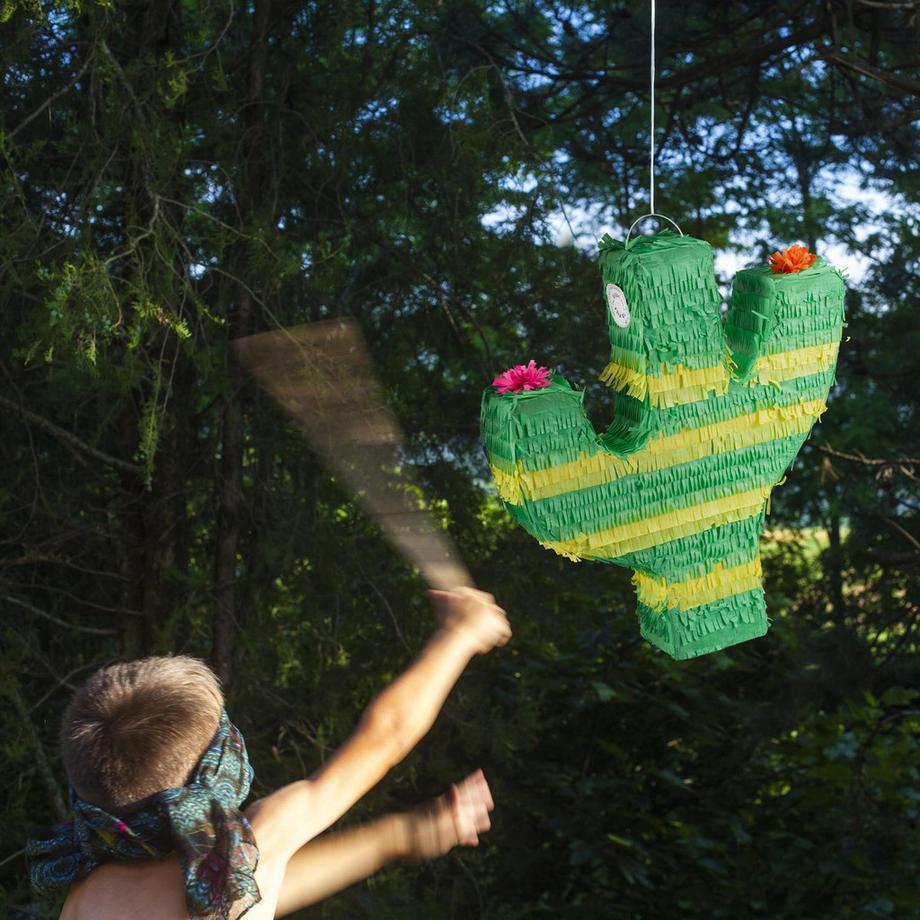 Northio Piñata cactus  