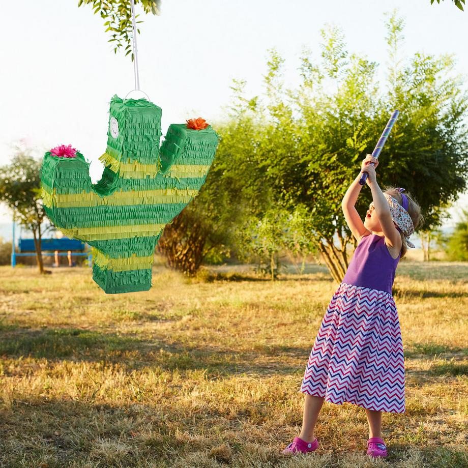 Northio Piñata cactus  