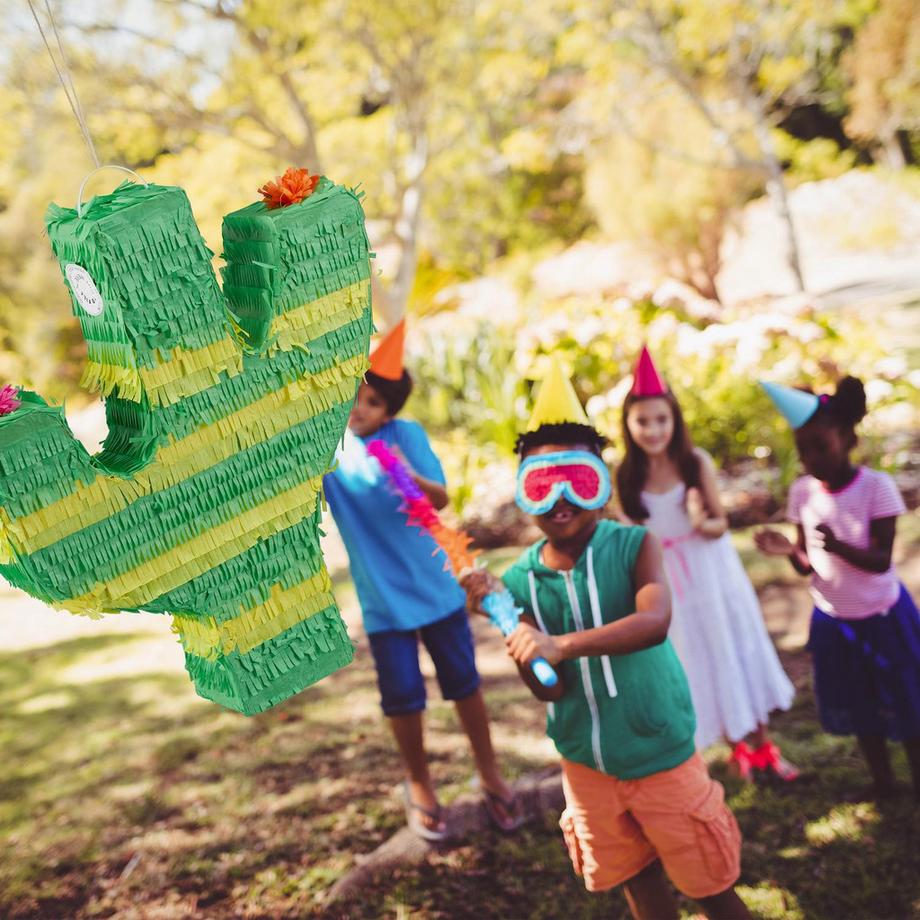 Northio Piñata cactus  
