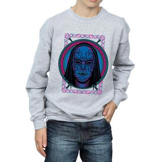 Harry Potter  Sweatshirt 