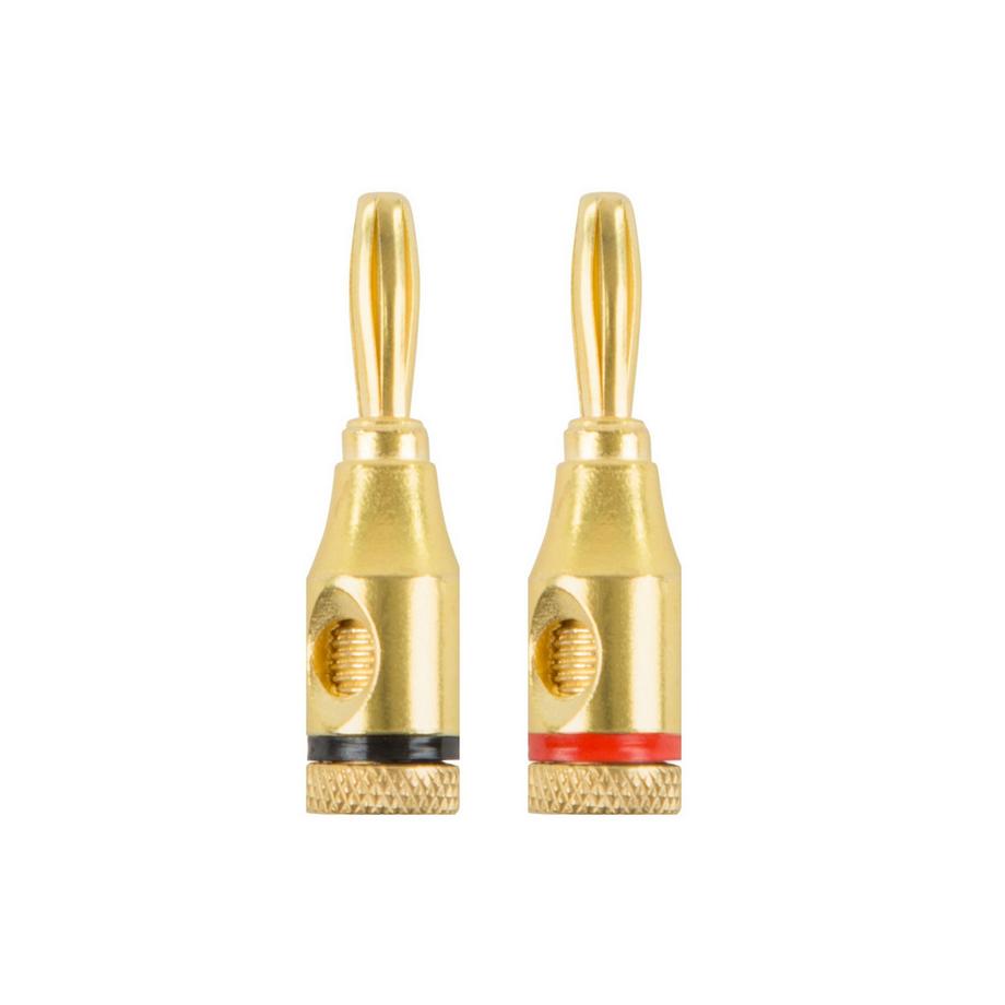 Champion  Spina Banana Nero/Rosso Maschio/Femmina 