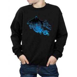 Harry Potter  Sweatshirt 