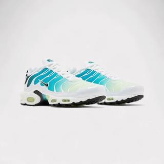 NIKE  Air Max Plus One Block Down - Chutney 