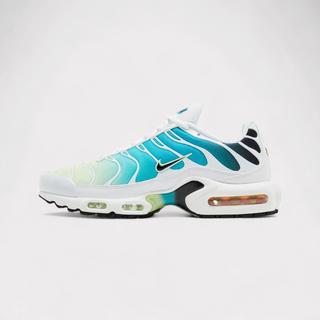 NIKE  Air Max Plus One Block Down - Chutney 