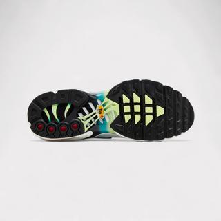 NIKE  Air Max Plus One Block Down - Chutney 